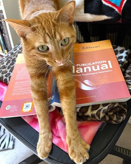 An orange cat standing on a copy of the American Psychological Association style manual